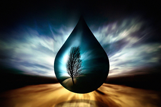 Last Drop   -  (c) by Ben Goossens