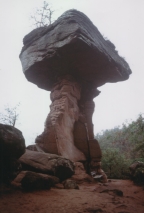 Pflzer Wald - Teufelstisch