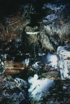 Rothaargebirge - Blutborn