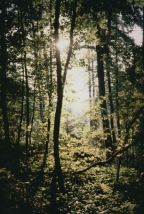 Sd-Eifel   -   Oktober