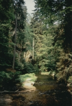 Kirnitsch  -  Schsiche Schweiz