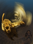 Stein-Epochen   -  (c) by Roland K. Mettel